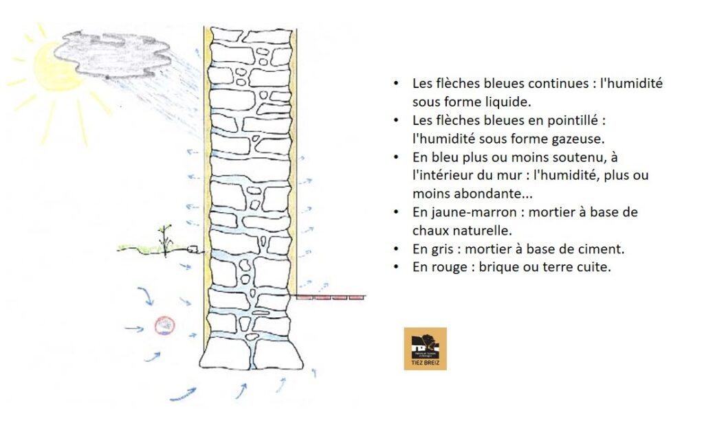 tiez breiz schema d un mur sain gerard dupont 221